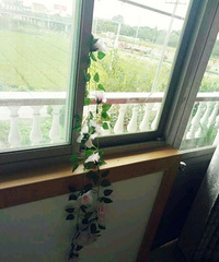 [�ҵı����ճ�]�Լ������ֹ�����