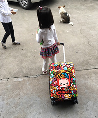 �齱����������