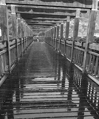 �����¾���