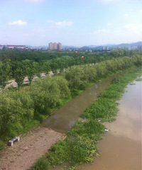 "【爆料】这几天的雨大不大?黄岩永宁江岸边路面都泡在水里了!"