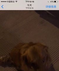 ���ң�˭�Ҷ����ˣ�