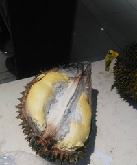 �����ϡ�������ķָ�ˮ��������