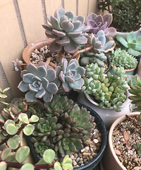 ���죬ֻҪ�����ͺ�