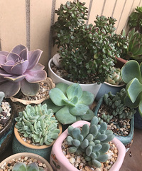 ���죬ֻҪ�����ͺ�