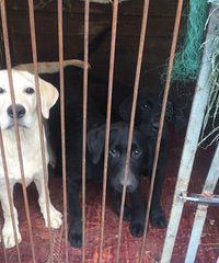 �������������