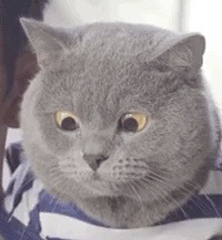 96��MM �������ڽ��� ϲ�����ֵĿɰ����к���