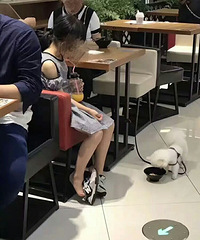 �����ϡ�����:��Ȼ�÷��������Լ��Ĺ��ò�