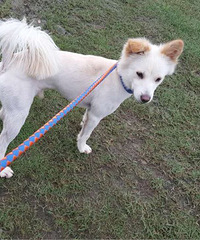 ��Ħ�������¼ң�һ��룬��������һ����Ҫ