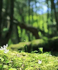 ���� | Ҫ��ʼ��������������