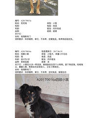 ���������������ϵ΢�ţ�33549796