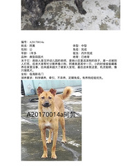 ���������������ϵ΢�ţ�33549796