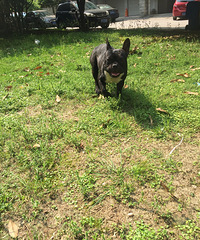 Ѱ����ʾ��������������������