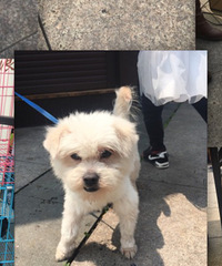 С�ף�ĸ����һ��룬�����������Ը񳬼���