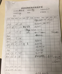 临海博爱宠物医院:宁海巴哥治疗住院记录