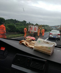 �����ϡ��̨�¸����ϳ���һͷԽ���Ĵ����  ����ͨ��