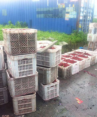 �����ϡ��������������÷�������÷�������÷��С�������