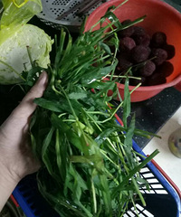 �����ϡ�����÷���������