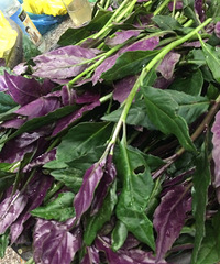 ���۸��᡿��Թ�Ұ������ʶ���֣�