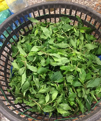 ���۸��᡿��Թ�Ұ������ʶ���֣�