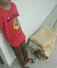 �ɰ����к��Ӽ����˵�С�������������ˣ�