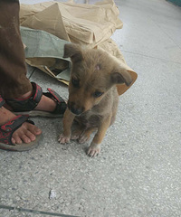 �ɰ����к��Ӽ����˵�С�������������ˣ�