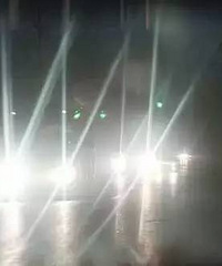 ���������ʲô�ݳ���Ϊ?