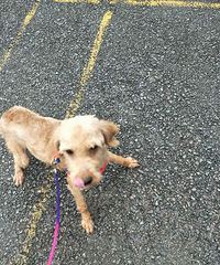 ����ĸ̩����������������Ȥ�����ԣ�