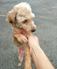 ����ĸ̩����������������Ȥ�����ԣ�