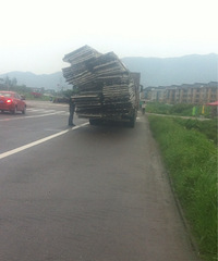 �����ϡ���·�Ͼ��ִ������ϵĻ���������û���Ŀ϶�����˾��