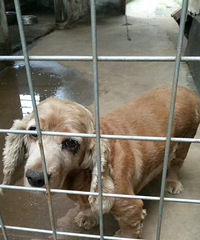 ����̩�ϣ�һ��������������������ĸȮ