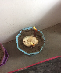 ������������֥������