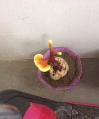 ������������֥������