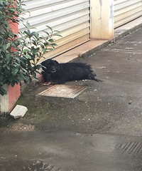 �����һ����� ����·��