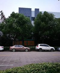 �����һ����ϲ������һ����һ���Ǳ��ǵ�