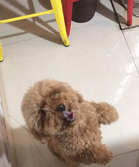 Ѱ����ʾ����Ѱ����ʾ����