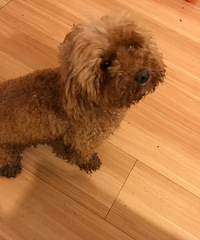 Ѱ����ʾ����Ѱ����ʾ����