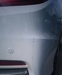 ʲô���鶼û����  ����������