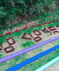 ��� �����ٲ�