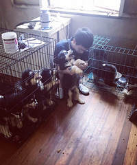 ��������˹��