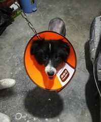 ���߾�Ѱ����