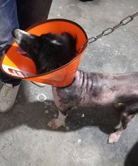 ���߾�Ѱ����