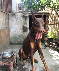 ����ë¿��