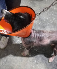 ���߾�Ѱ����