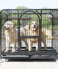 ����ȫ�¹�����ĳ���ϲ�С�Ķ�����һ��.