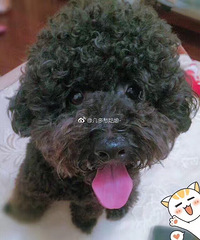 �Ҽ�̩�϶��ˡ�