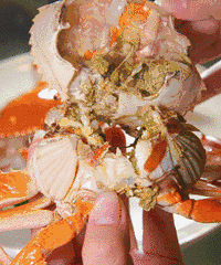 ��ϯ�ϳ�����ֻ��з ��̨���ӱ���ñ�ͷ���