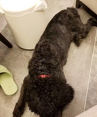 Ѱ�����ˣ������ҳ��и����ɫ�޹�