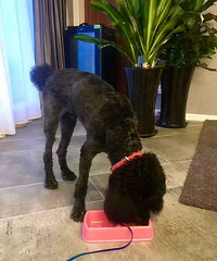 Ѱ�����ˣ������ҳ��и����ɫ�޹�