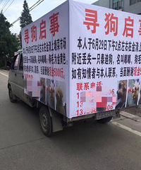 �����ϡ������Ϊ����һֻ̩�ϣ���Ȼ����