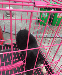 �ɾ����Ѽ����Ĺ���